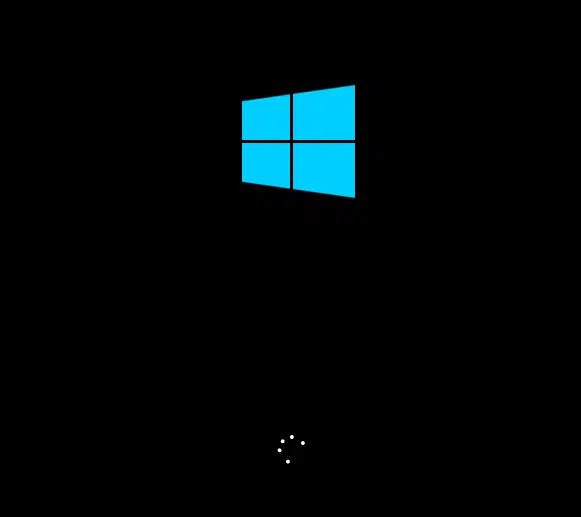 Windows Setup Logo