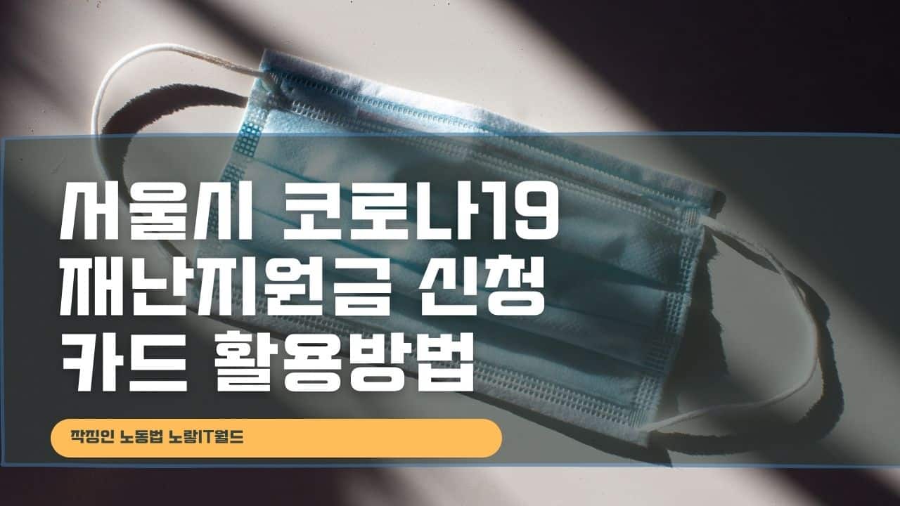 서울시 코로나19 재난지원금 신청 카드 활용방법 2