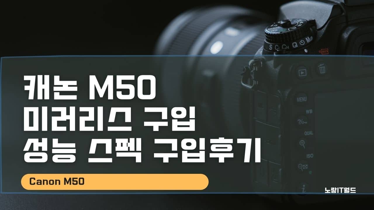 캐논 M50 미러리스 구입 성능 스펙 구입후기