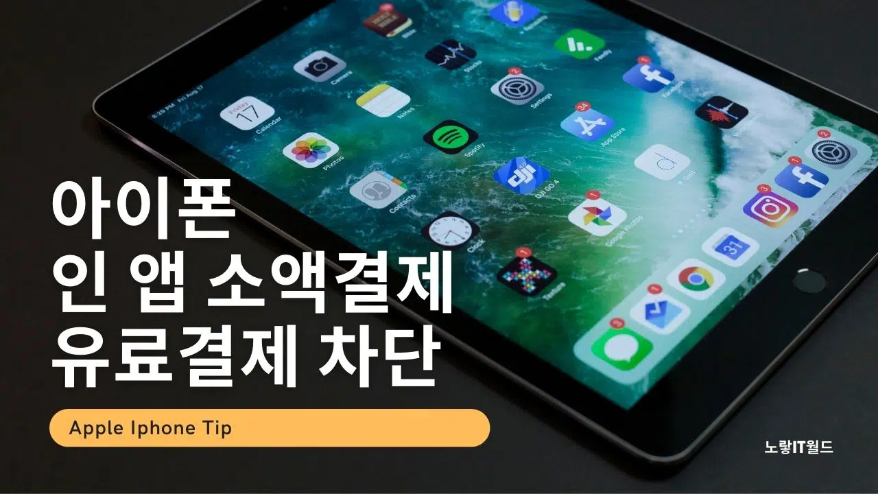 아이폰 인 앱 소액결제 유료결제 차단