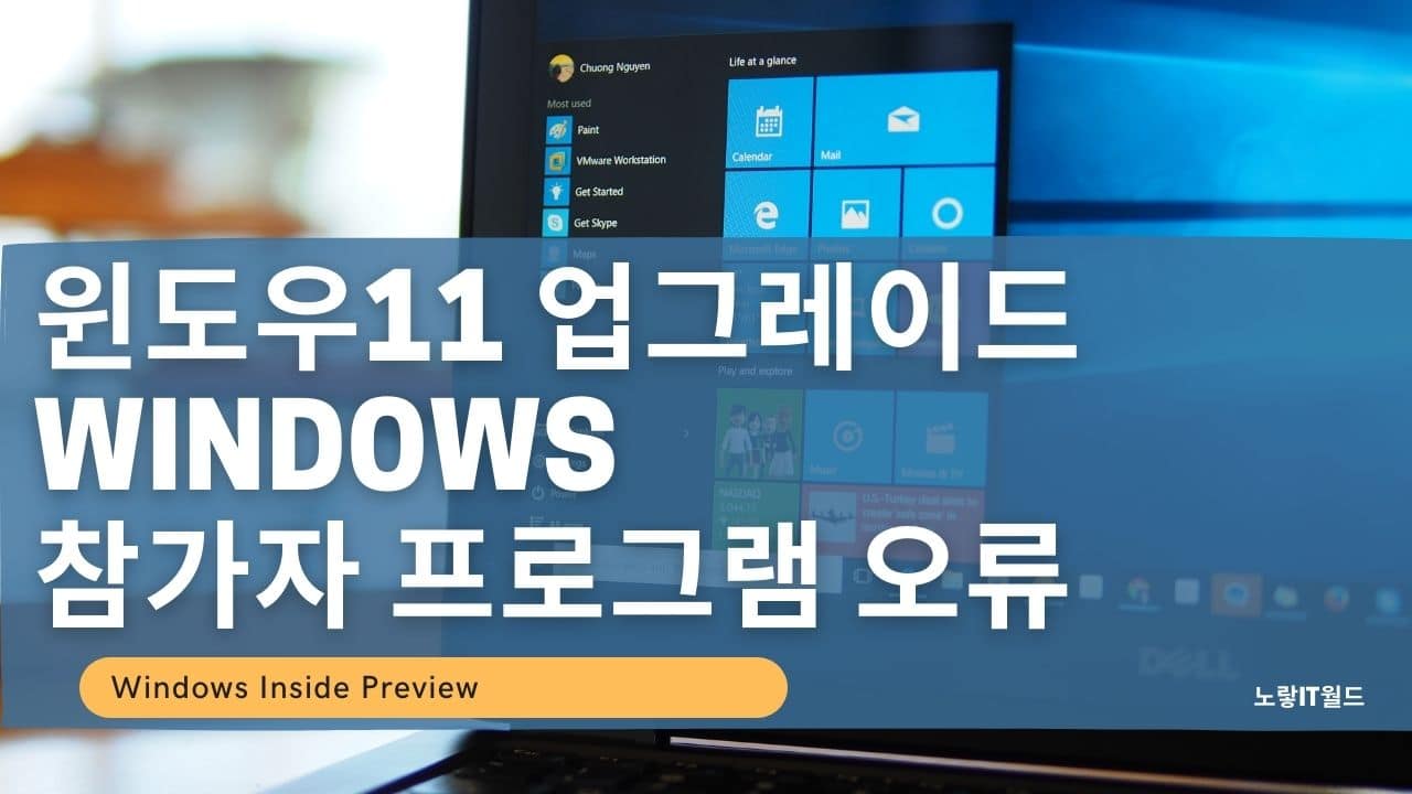 윈도우 참가자 프로그램 오류 윈도우11 업그레이드