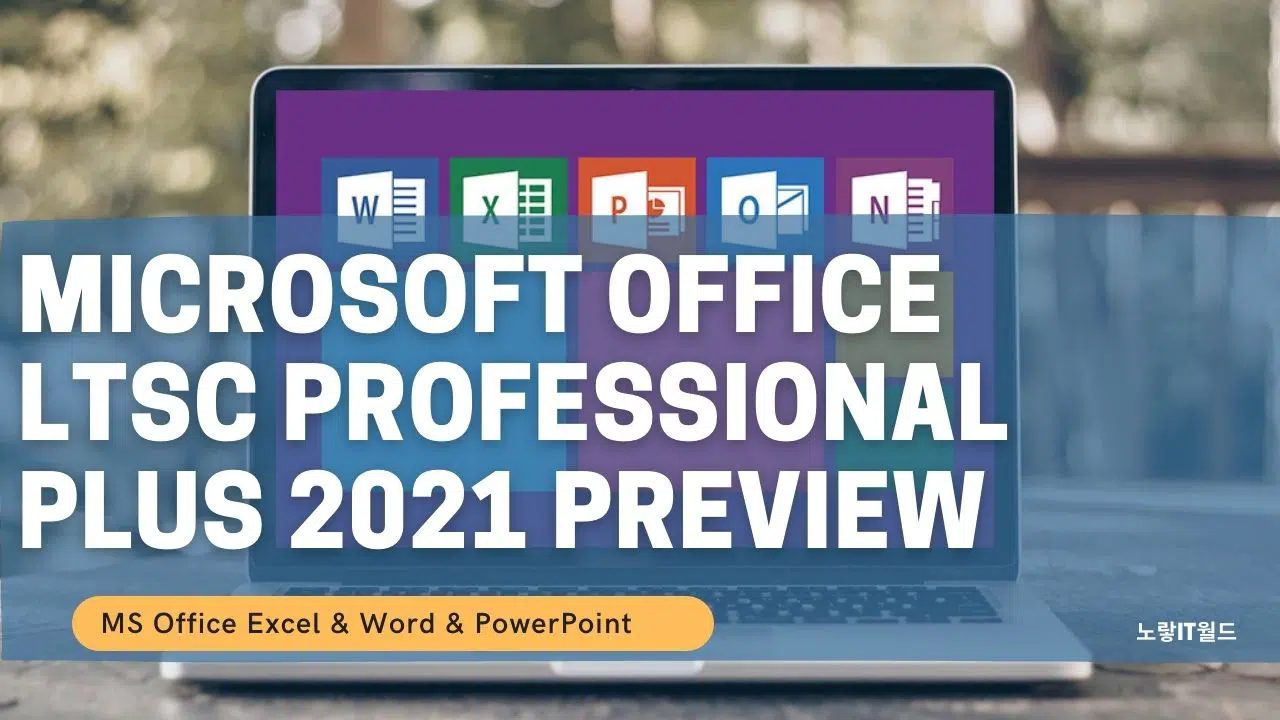 Microsoft Office LTSC Professional Plus 2021 Preview 설치 인증 4
