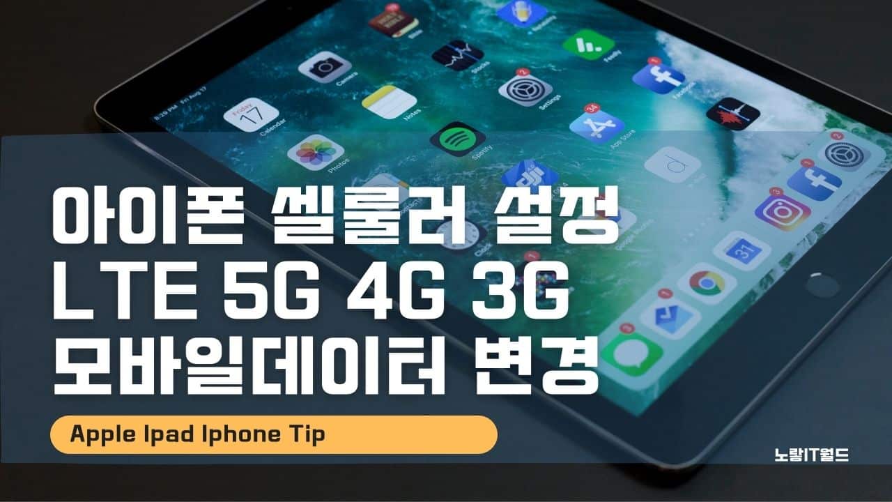아이폰 셀룰러 설정 LTE 5G 4G 3G 모바일데이터 변경