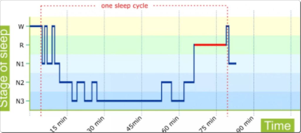 수면의질 깉은수면 얕은수면 램수면 혈중산소농도 sp02 2