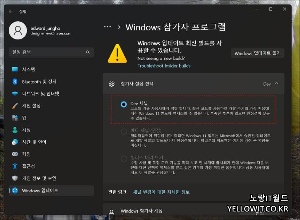 윈도우11 Windows 참가자 프로그램 해제 삭제방법 5