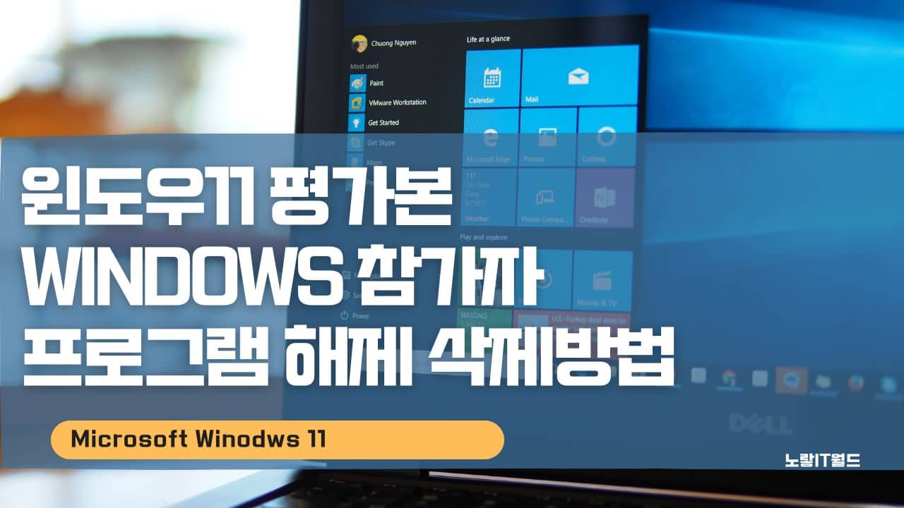 윈도우11 평가본 Windows 참가자 프로그램 해제 삭제방법