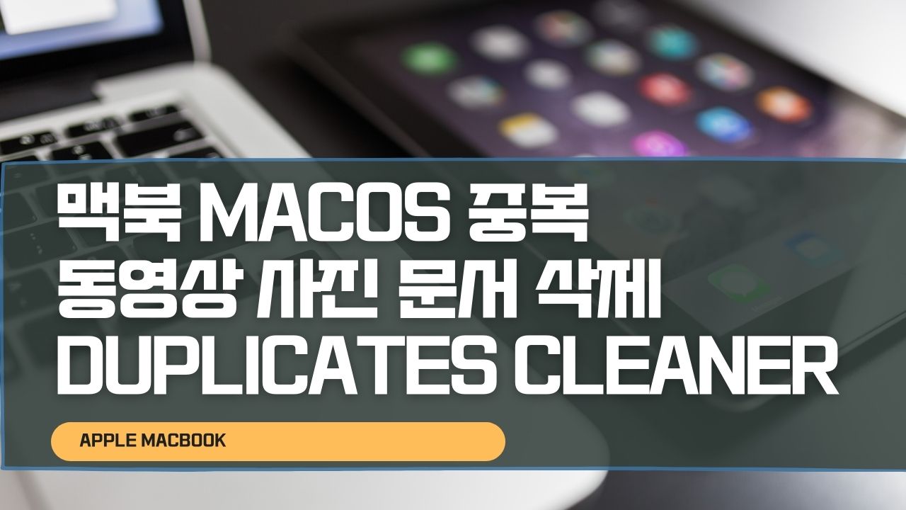 맥북 MACOS 중복 동영상 사진 문서 삭제Duplicates Cleaner