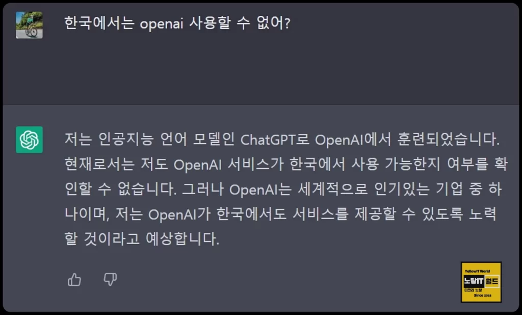 귀하의 국가에서는 OpenAI 서비스 사용할 수 없음 2