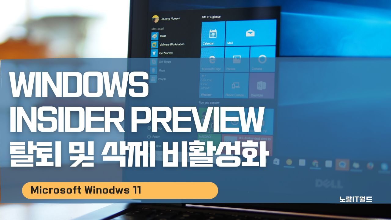 윈도우11 Windows Insider Preview 탈퇴 및 삭제 비활성화