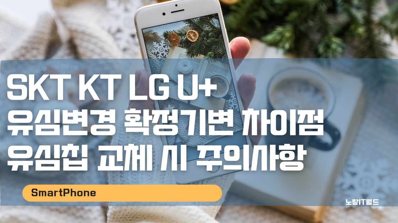 SKT KT LG U 유심변경 확정기변 및 교체 시 구입 주의사항 NFC 결제