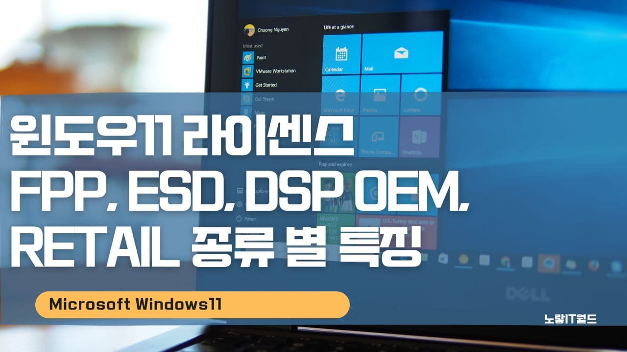 윈도우11 라이센스 FPP ESD DSP OEM RETAIL 종류 별 특징